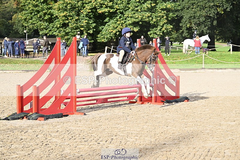 251005A-094445-03071 - Cls 03 GR 60cm