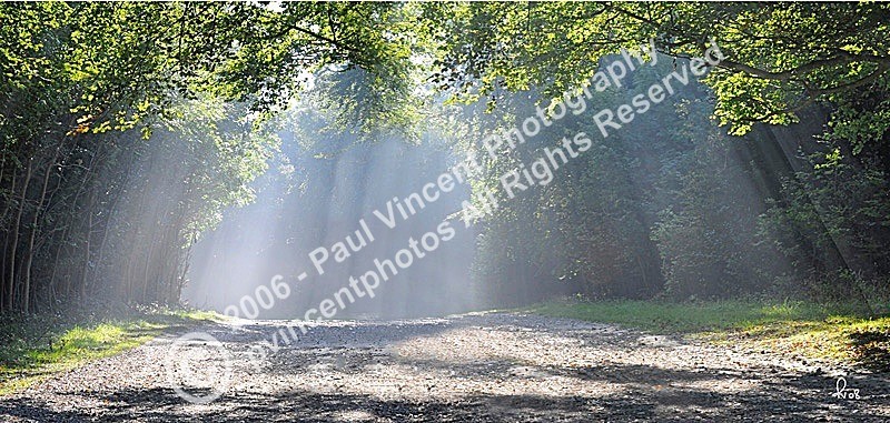 Sunrays - Goodwood - Sussex Downs