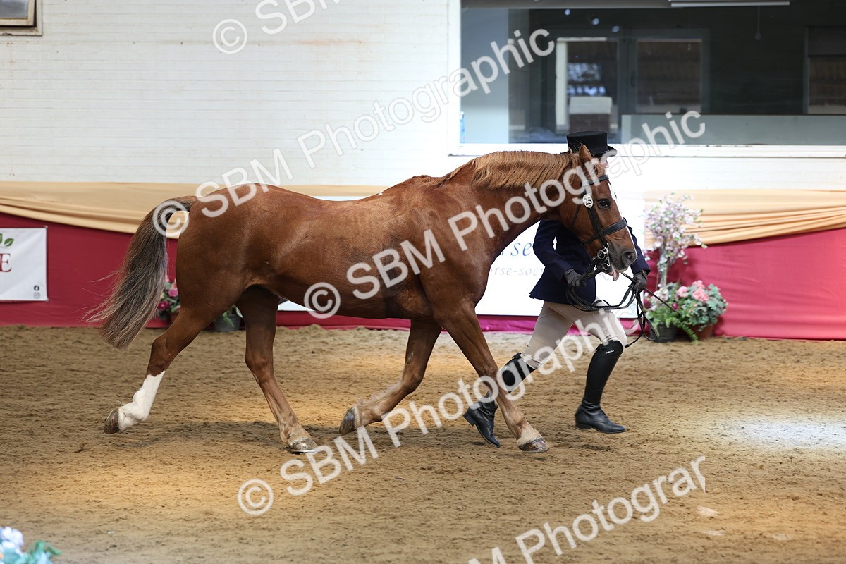 SBM_23591 - Class 904 - Supreme Final - Ridden Diamond