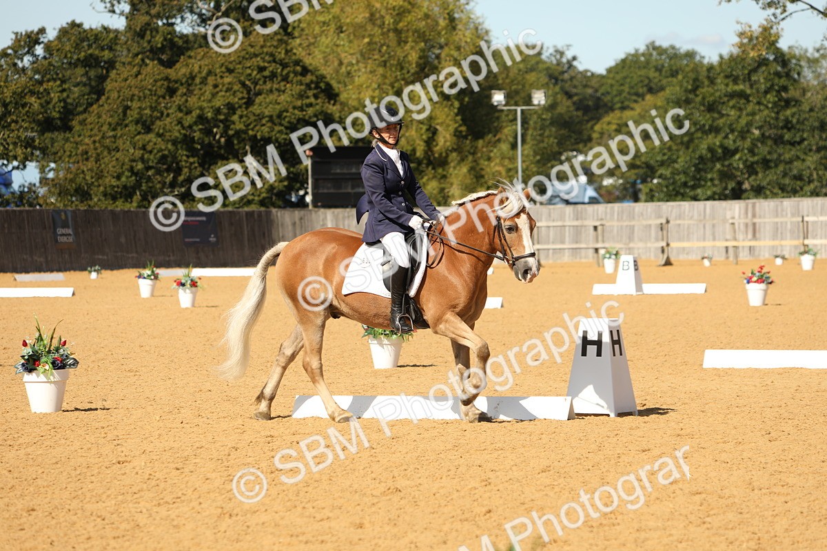SBM_22397 - D17 - Grand Tour Championship - Novice 27