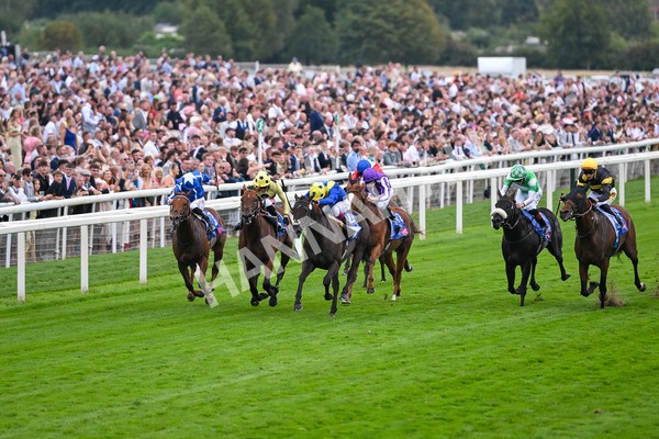 230825-Race 3-Never So Brave-0072 - Race 3 3.00pm Sky Bet City Of York Stakes