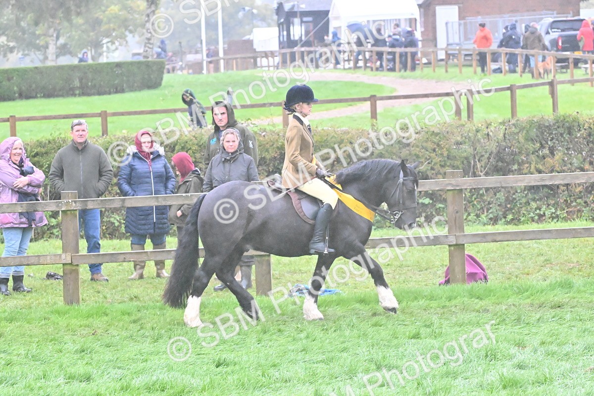 SBM_72170 - Equitation Supreme Championship