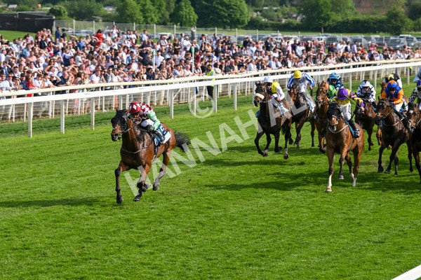 170524-Race 6-Riot-8501 - Race 6 4.45pm Yorkshire Equine Practice Handicap