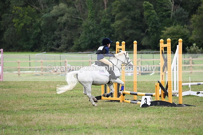 WJ6_0378 - 40cm Time 10:29 to 10:52