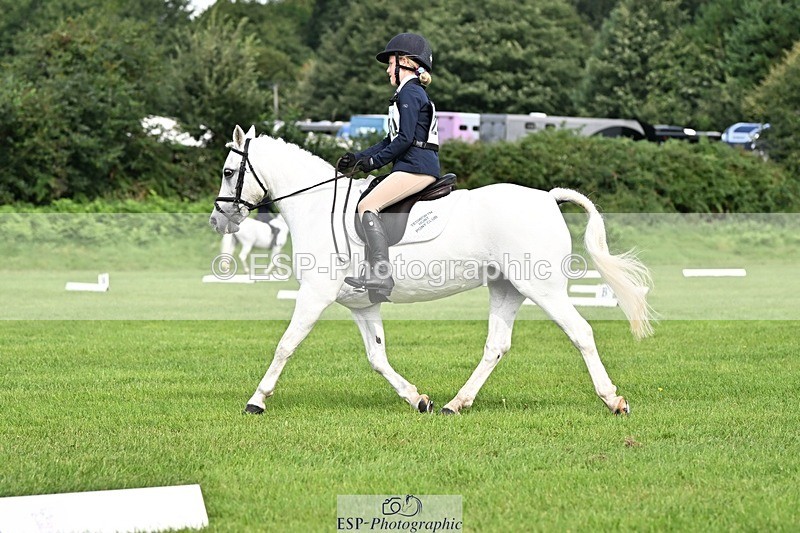 230826-104225-16645 - Sections A & B 10 to End