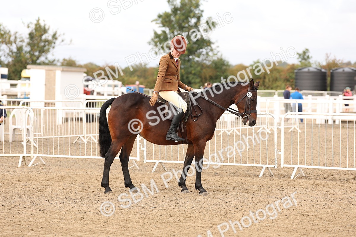 SBM_01563 - Class 52 - Ridden Veteran
