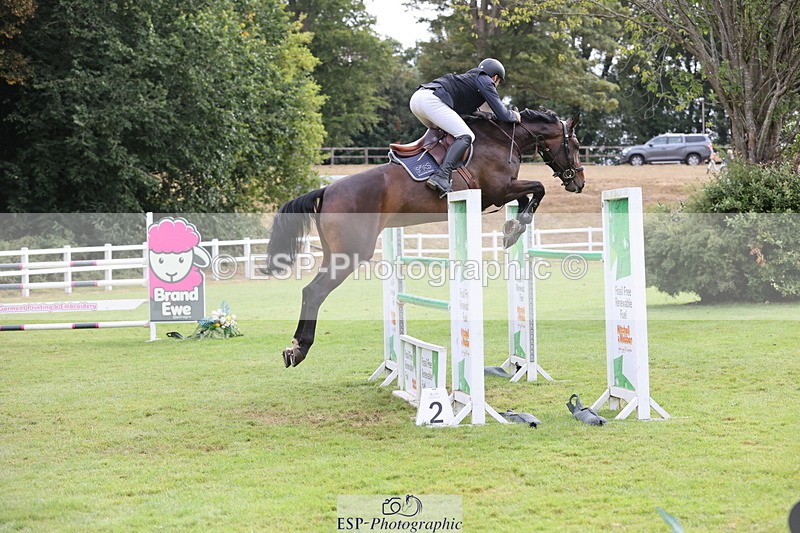 250830A-100852-04681 - Cls 14 HOYS Grade C Quali