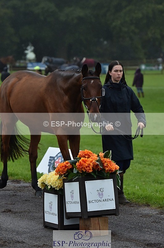 231018-120804-00095 - 010-ERASMUS.BRUMBLE-April.Masters-TrotUp