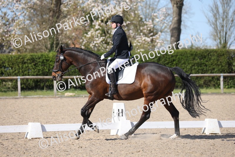 20250405-1034 - Class 17 - Novice 3