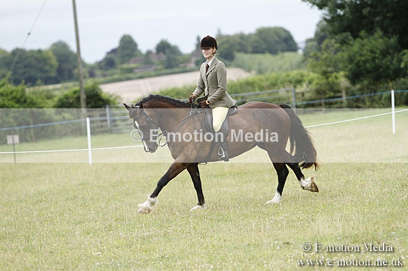 BVR160717-160 - Ring 3 BVRC Show 16/07/17