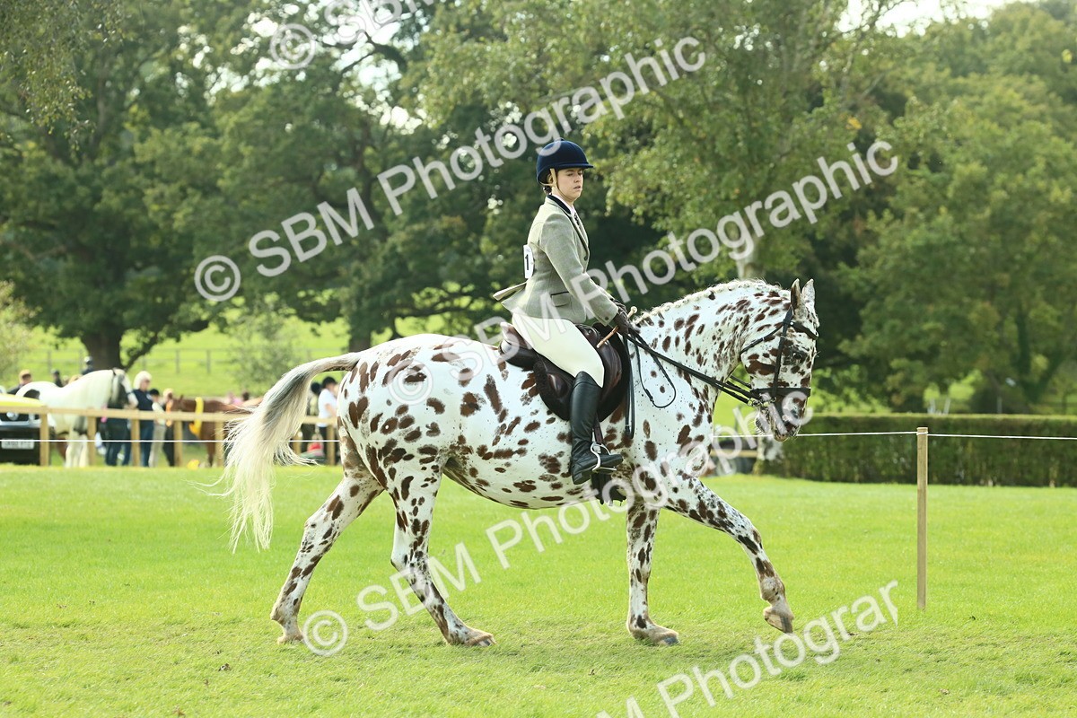 SBM_62414 - S62 - Foreign Breeds Ridden