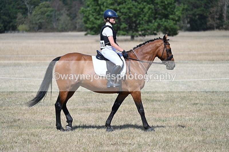 WJ7_1187 - Class 41 Prettiest Mare