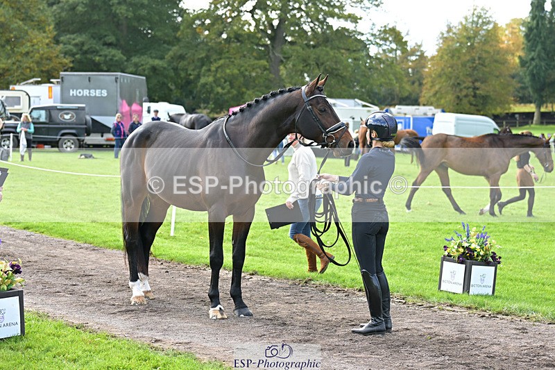 241023-131916-00203 - 012-Mollie.Summerland-SKITTEL.D'EKWI