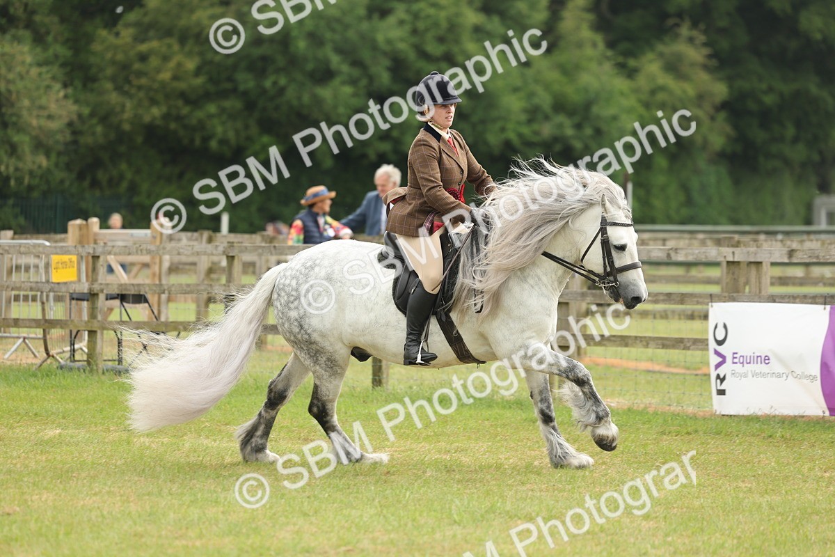 SBM_09124 - Class 78-80 - Ridden M&M Non Welsh Ponies