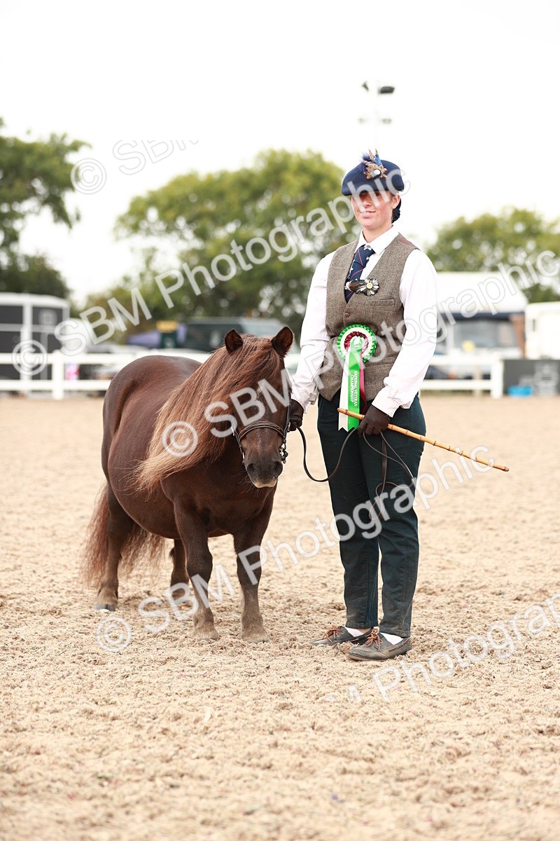 SBM_11929 - Class 206 IH Non Show Type Pony
