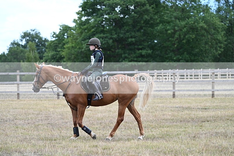 WJ7_1597 - 60cm Time 13:20 to 14:27