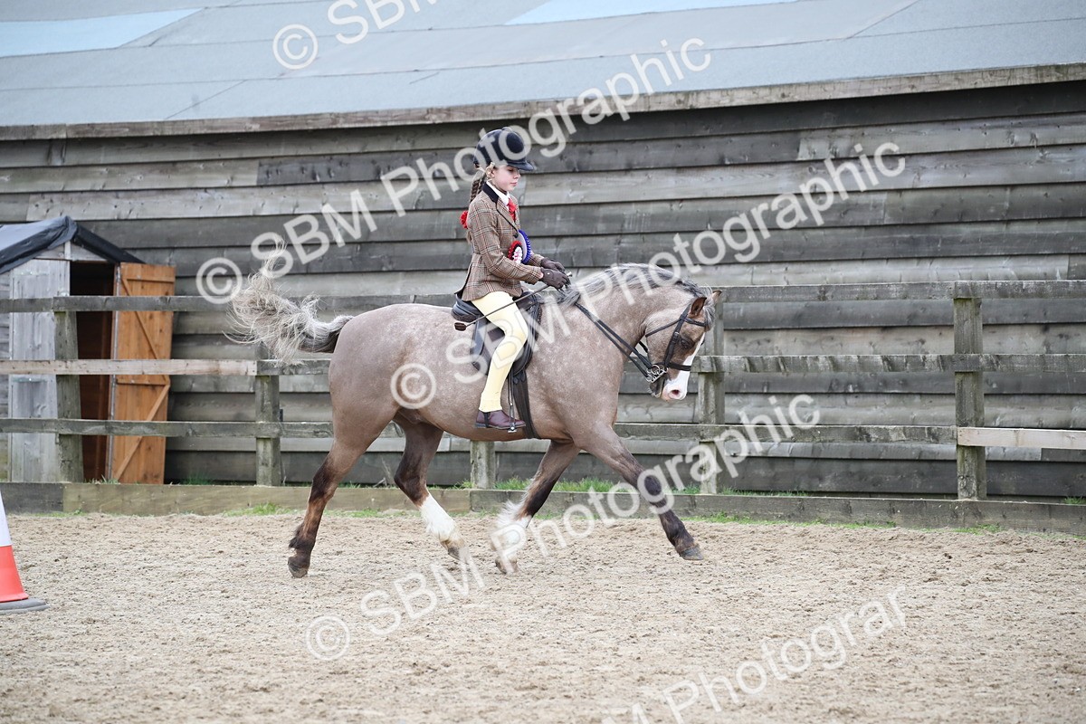SBM_007131 - Class 10-13 - RIHS Small Large Breeds