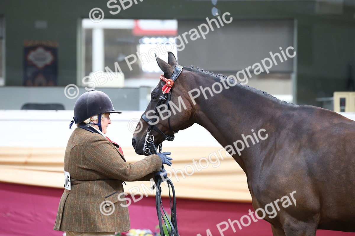 SBM_21872 - Class 901 - Supreme Final - IH  Diamond