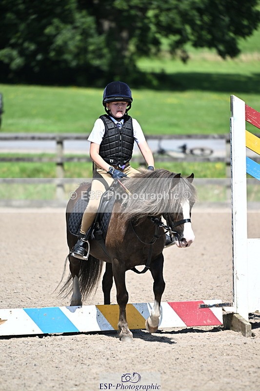 240729B-113544-02443 - Showjumping Competition