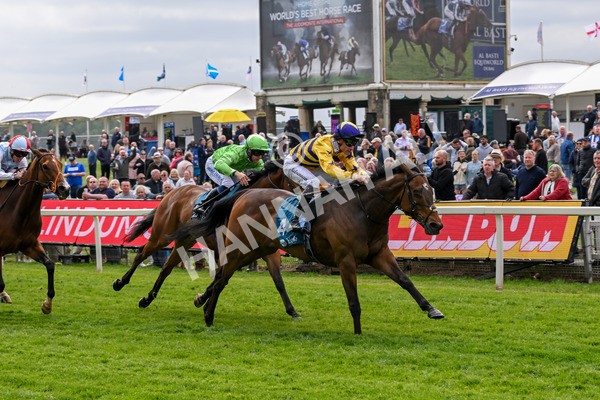 150525-American Affair-3699 - Race 1 2.10pm Lindum York Handicap