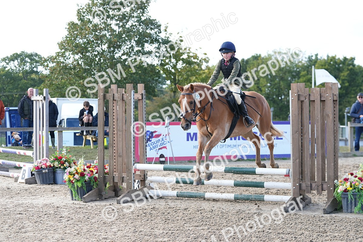 SBM_48464 - J7 - Junior Pony 60cm Championship