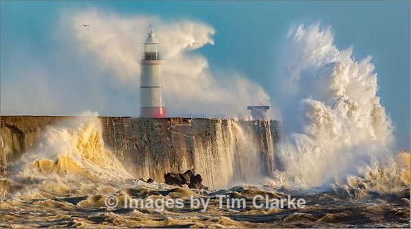 1465 - Seascapes