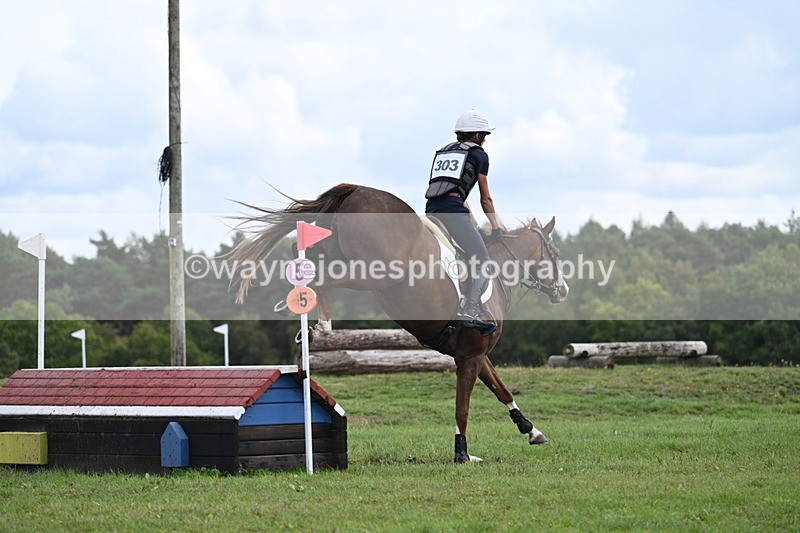 WJ7_1594 - Time 12:34 to 13:16