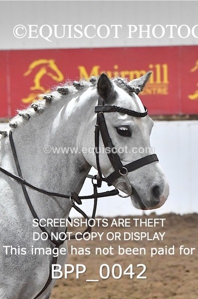 BPP_0042 - CLASS 2 30CM