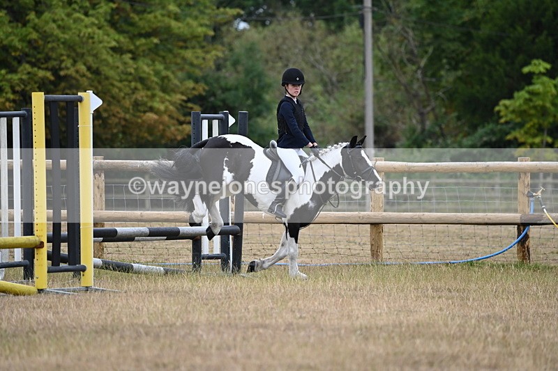 WJ6_0310 - Class 13 Novice Jumping 60cm