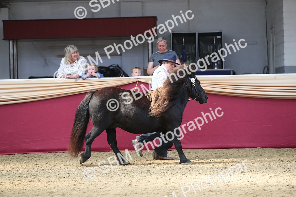 SBM_15300 - Class 501 M&M IH Supreme Final