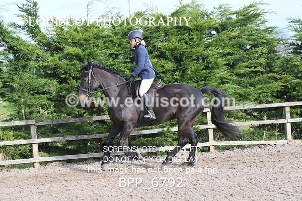 BPP_6792 - RING 1  (RIDDEN HORSES / IN HAND / VETERAN ETC)
