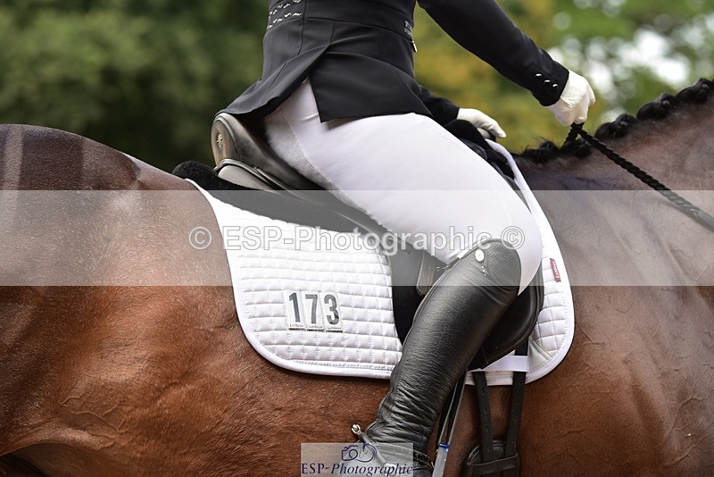 250719A-105246-03833 - 173-Louise.Hendy-Best.Trition