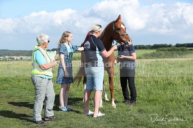 SPXX0029 - Friday vetting