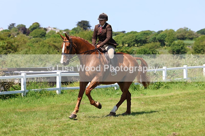 3E7A8360 - Class 13: Ridden Hunter
