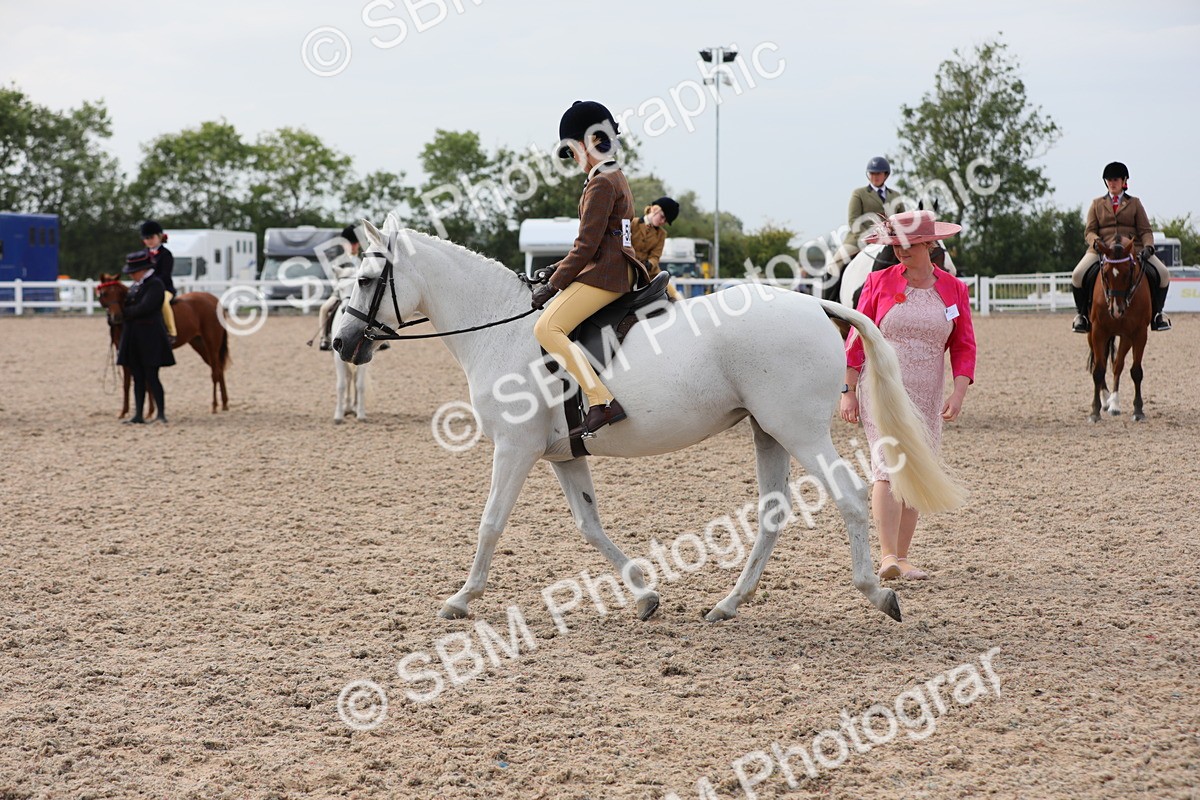 SBM_17010 - Class 314 Family Horse/Pony