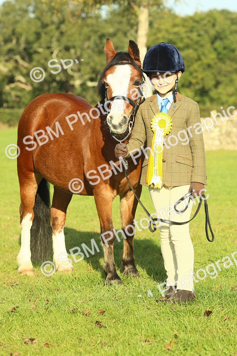 SBM_58518 - S37 - Starters In Hand Showing