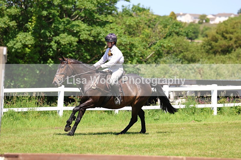 3E7A7066 - Class 30: Novice Working Hunter