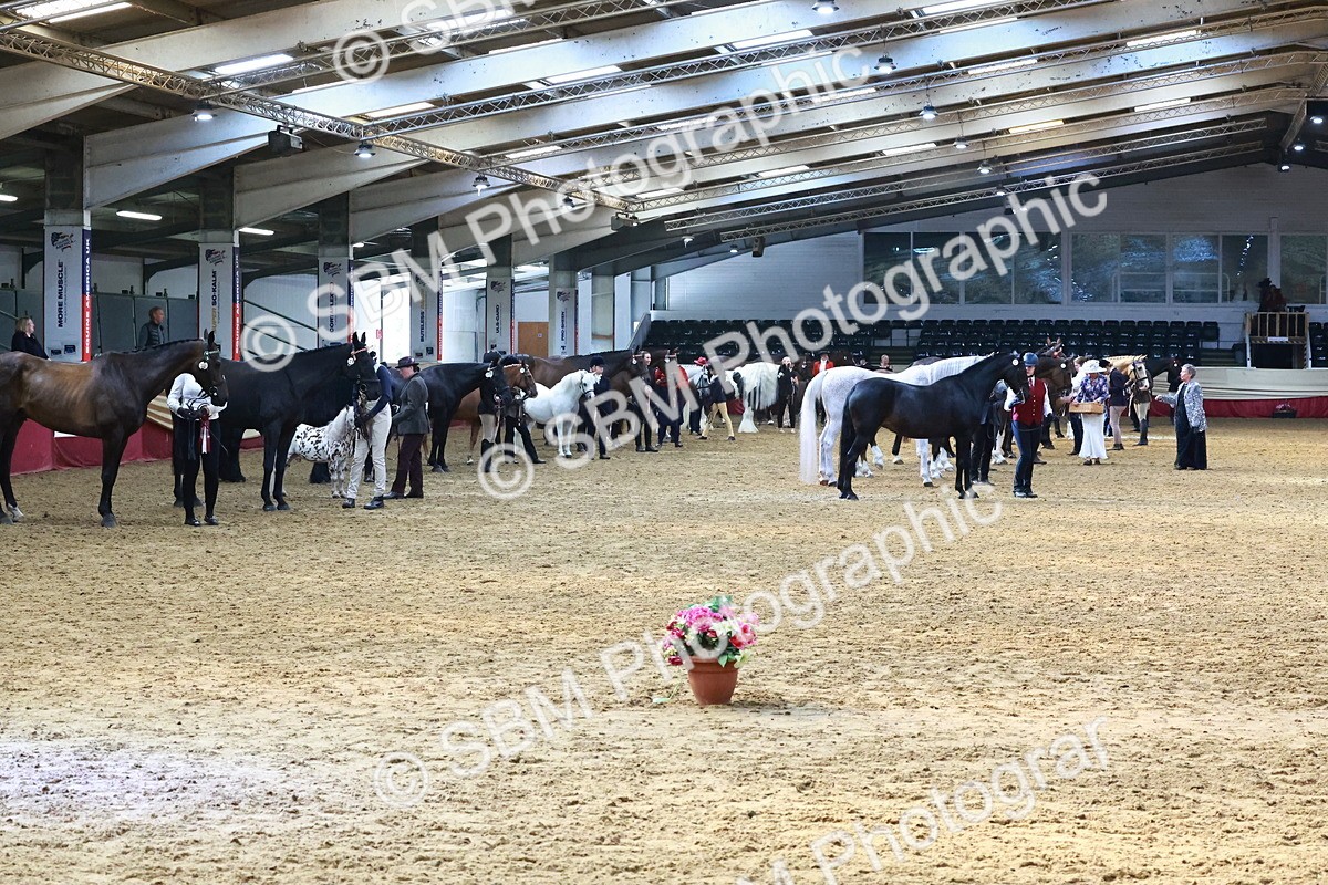 SBM_22403 - Class 902 - Supreme Final - IH Diamond