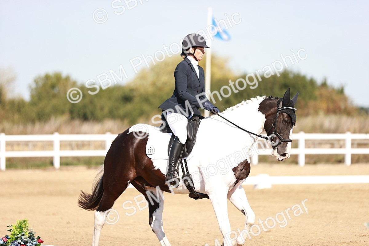 SBM_004361 - Class 12 - Novice 5 - 10.31-11.41