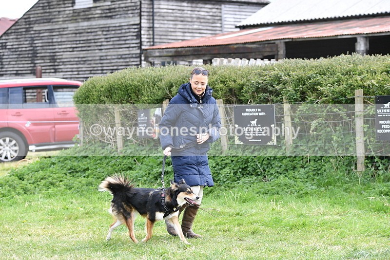 WJ5_9513 - Class 3 Most Handsome Dog