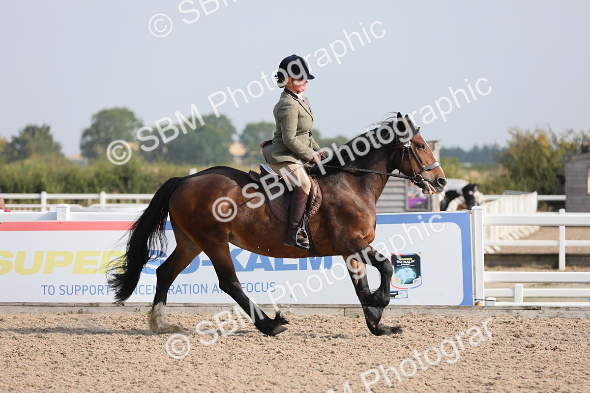SBM_10920 - Class 304 Ridden Part Bred Horse/Pony