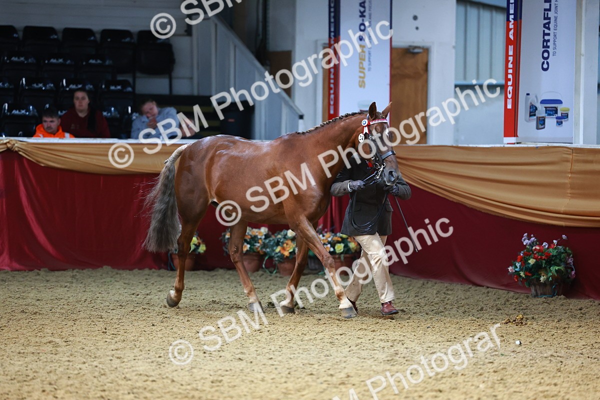 SBM_22350 - Class 902 - Supreme Final - IH Diamond