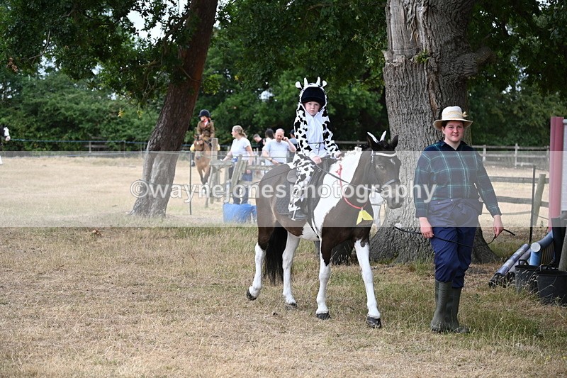 WJ6_8923 - Class 11 Fancy Dress
