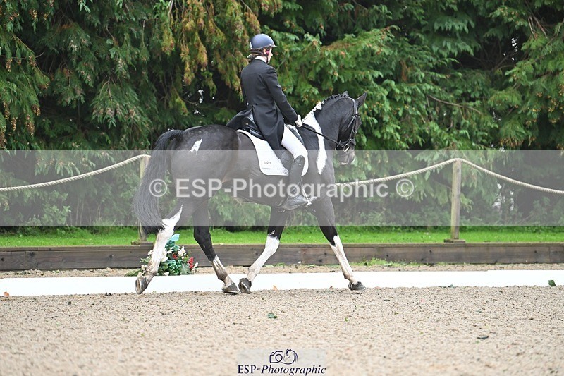 231019-103217-01885 - 101-RICARDO.COLOURS.II-Elizabeth.Wadey-DR