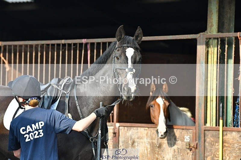 230817-084437-02446 - Stable Shots