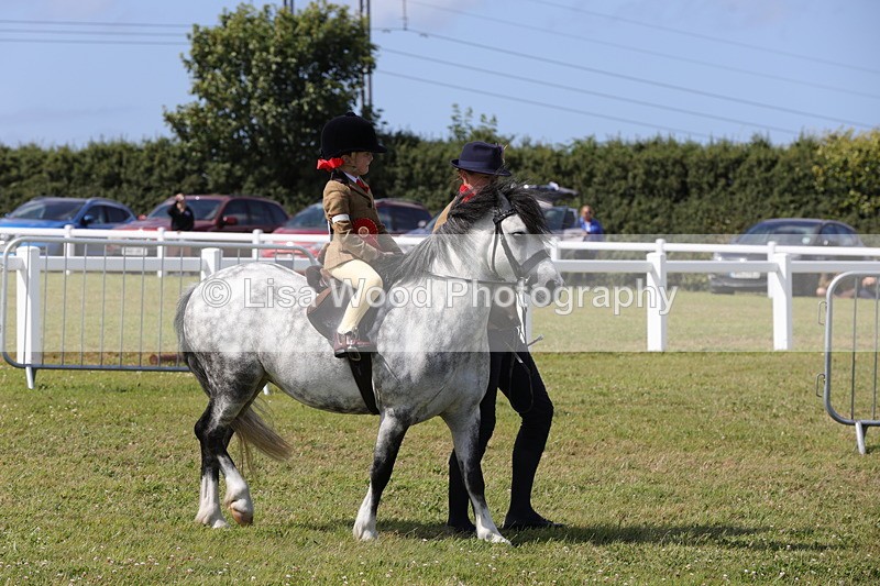 1X9A5478 - M&M Mini Ridden Championship