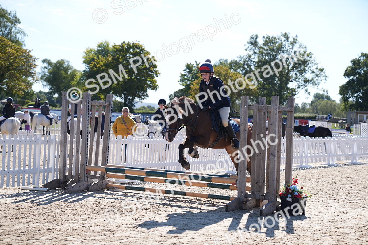 SBM_19395 - J57 - Clear Round 50cm