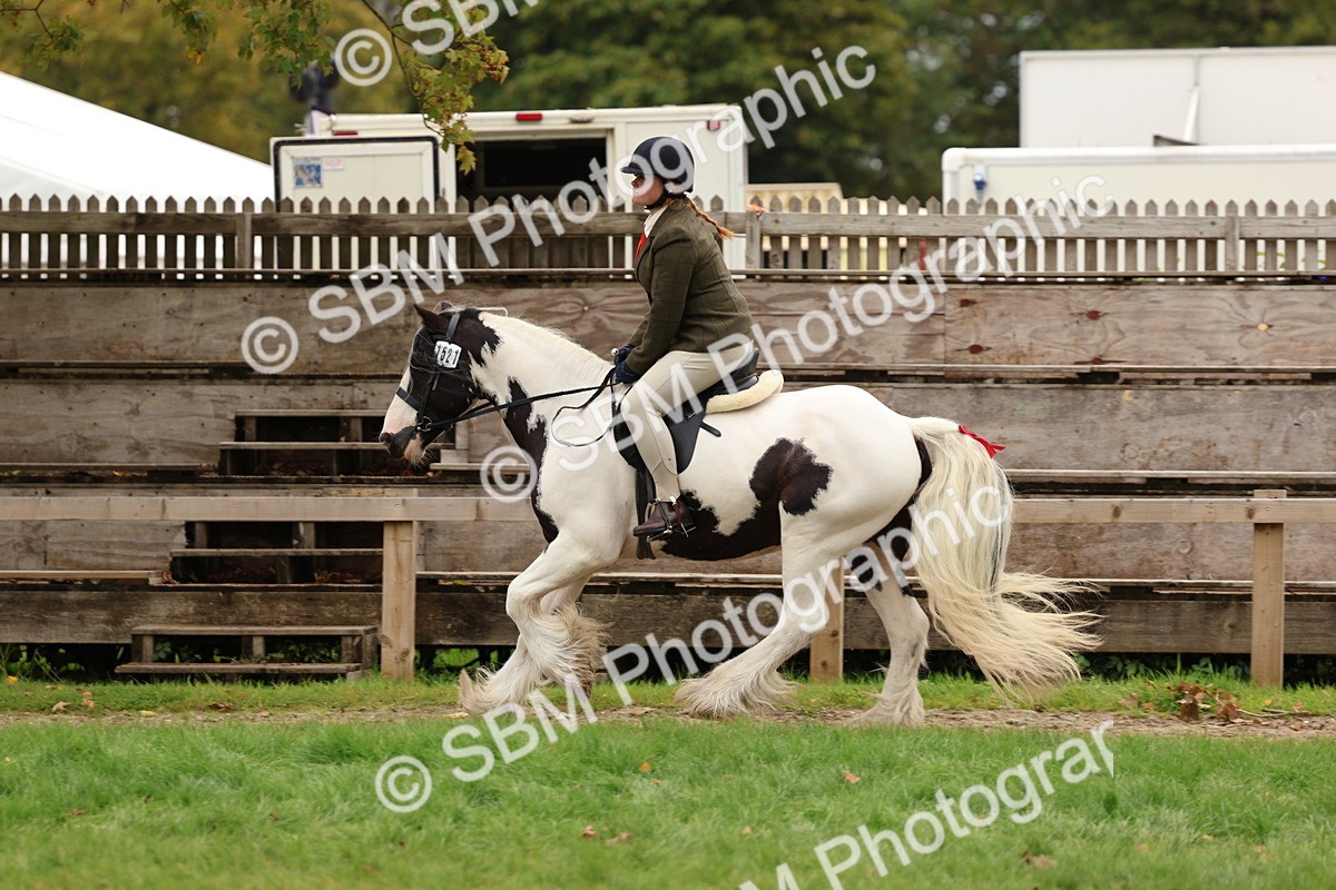 SBM_64634 - S58 - Coloured Pony Ridden