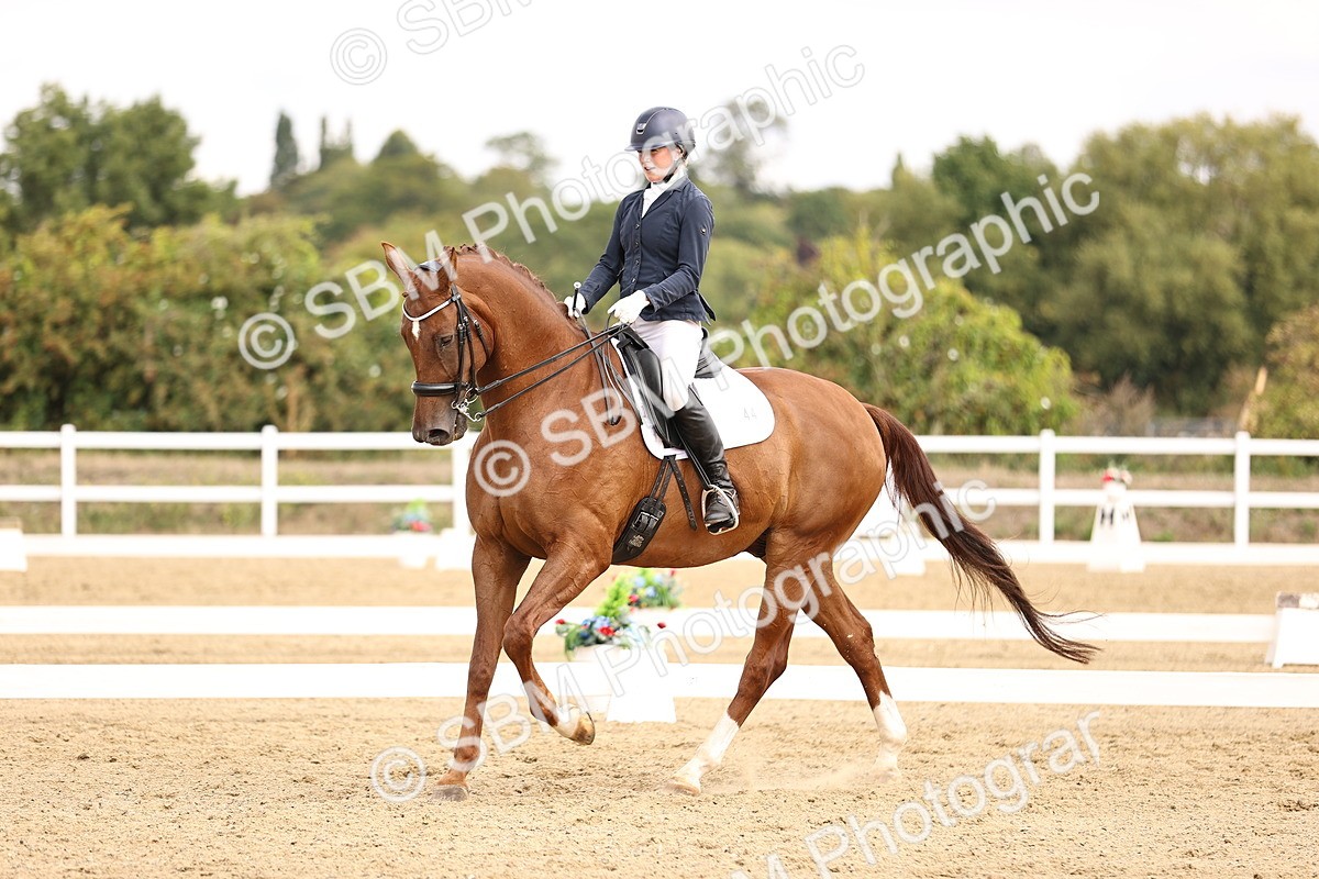SBM_013012 - Class 2 - Advanced Medium 5 - 10.35-11.55