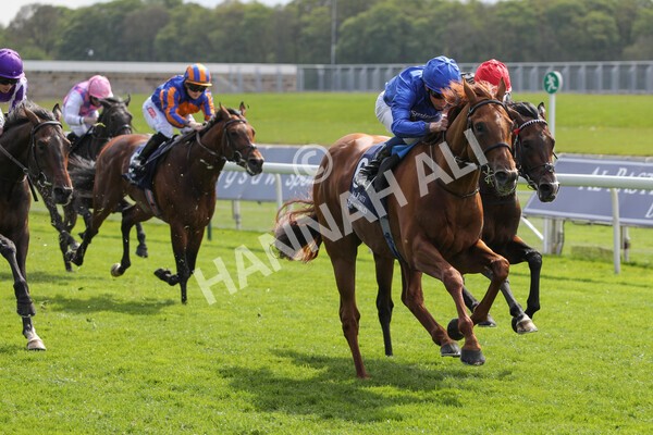 yr13052021r4-44 - Race 4 3.10pm Al Basti Equiworld Dubai Dante Stakes